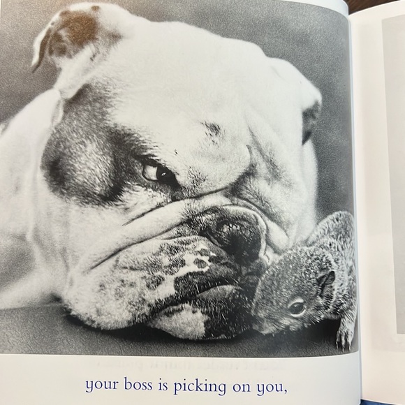 The Blue Day Book: A Lesson In Cheering Yourself Up - Picture 5 of 8